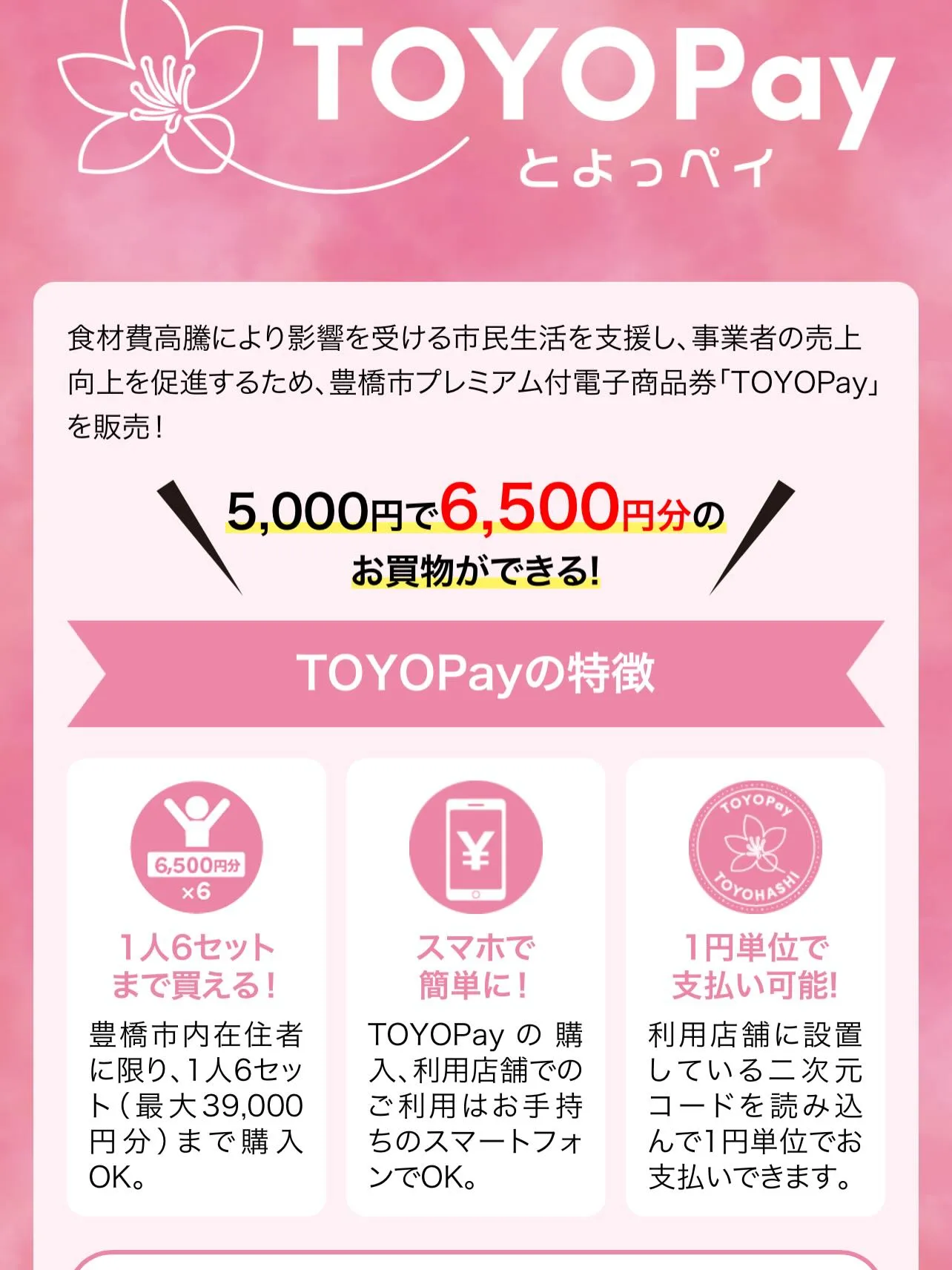 ✨ とよっペイ、使えます！